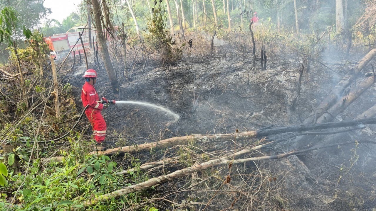 Ratusan Personel dan Armada Disiagakan, PHR Zona 4 Ikut Padamkan 113 Karhutla di Sumsel