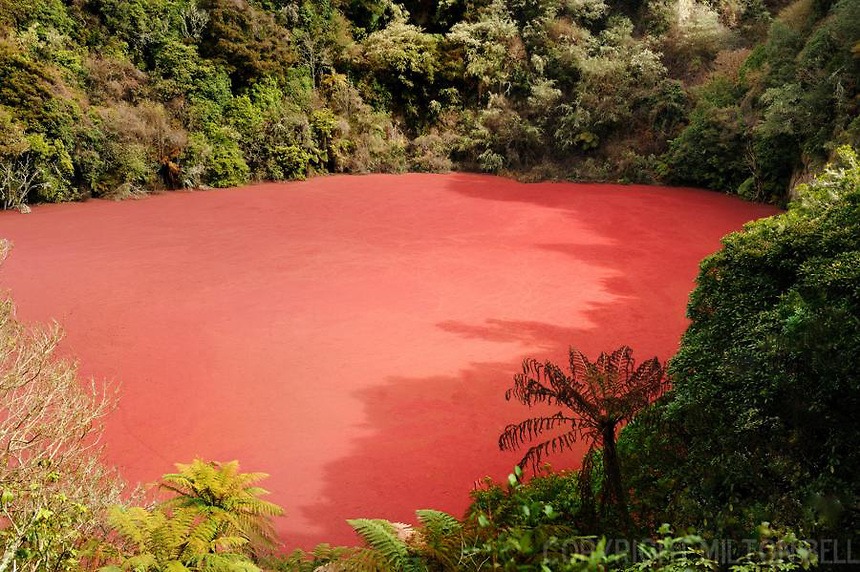 Unik ! Ada Danau Airnya Merah di Sumatera Selatan  