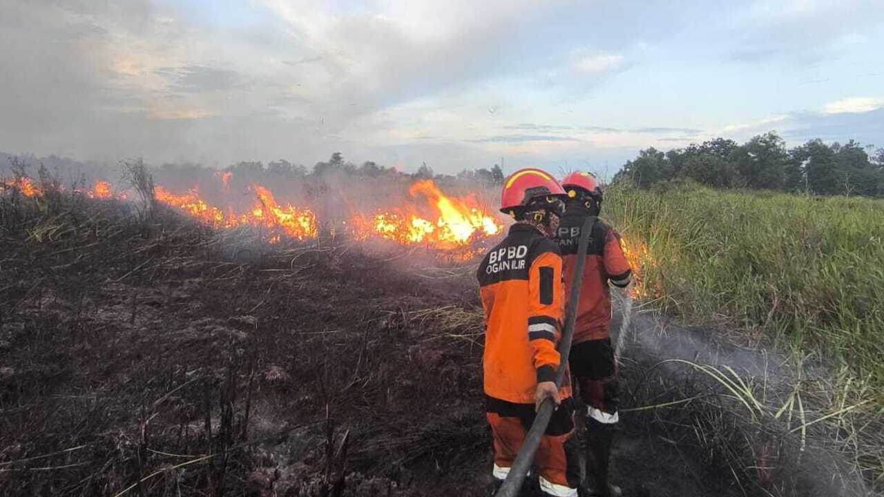 Karhutla Kembali Terjadi di Ogan Ilir, 3,5 Hektare Lahan Terbakar di Sungai Rambutan
