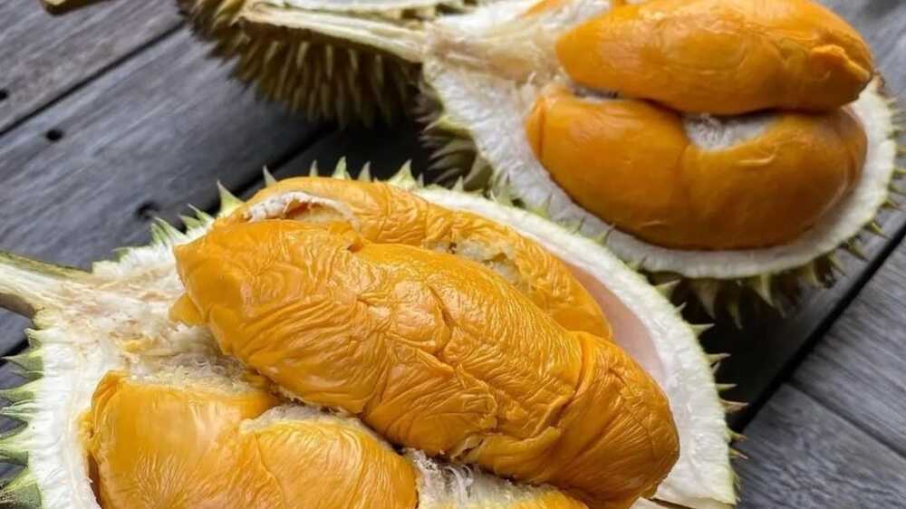 Manisnya Durian vs Kecemasan Diabetes: Strategi Sehat untuk Mengonsumsi Buah Khas Ini