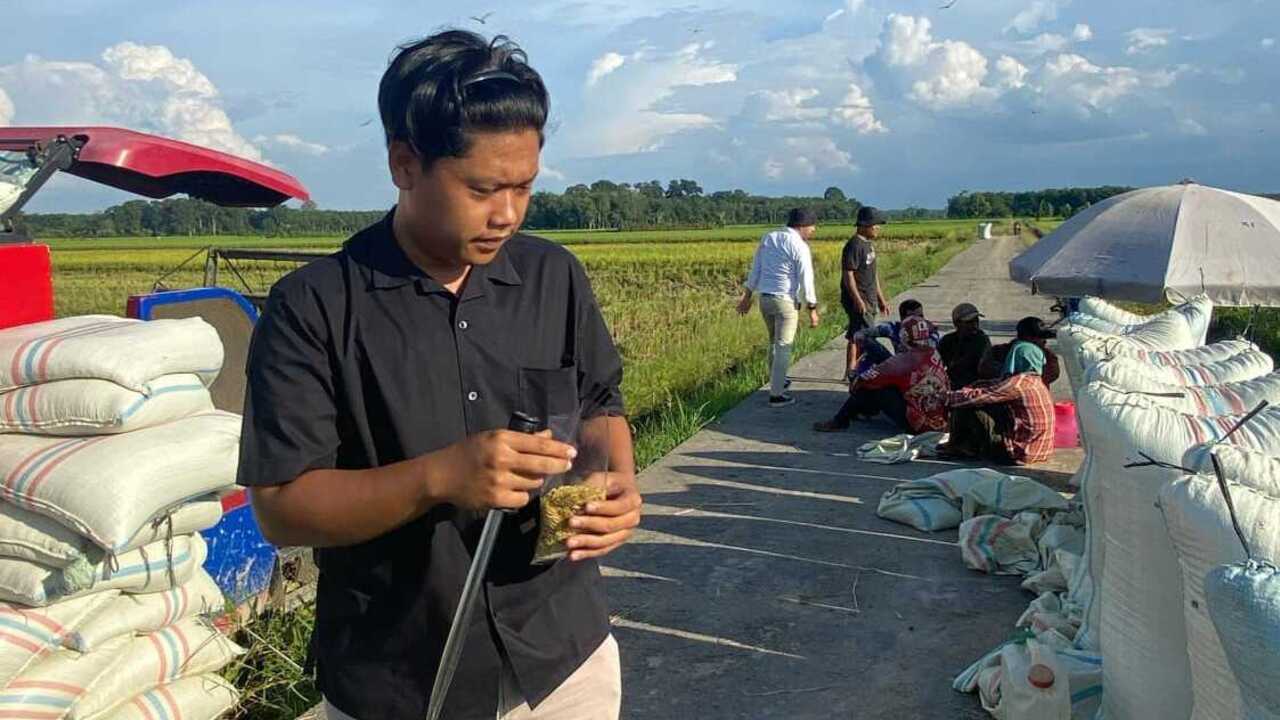 Bulog Serap 2.000 Ton Gabah Beras Petani di OKU Timur