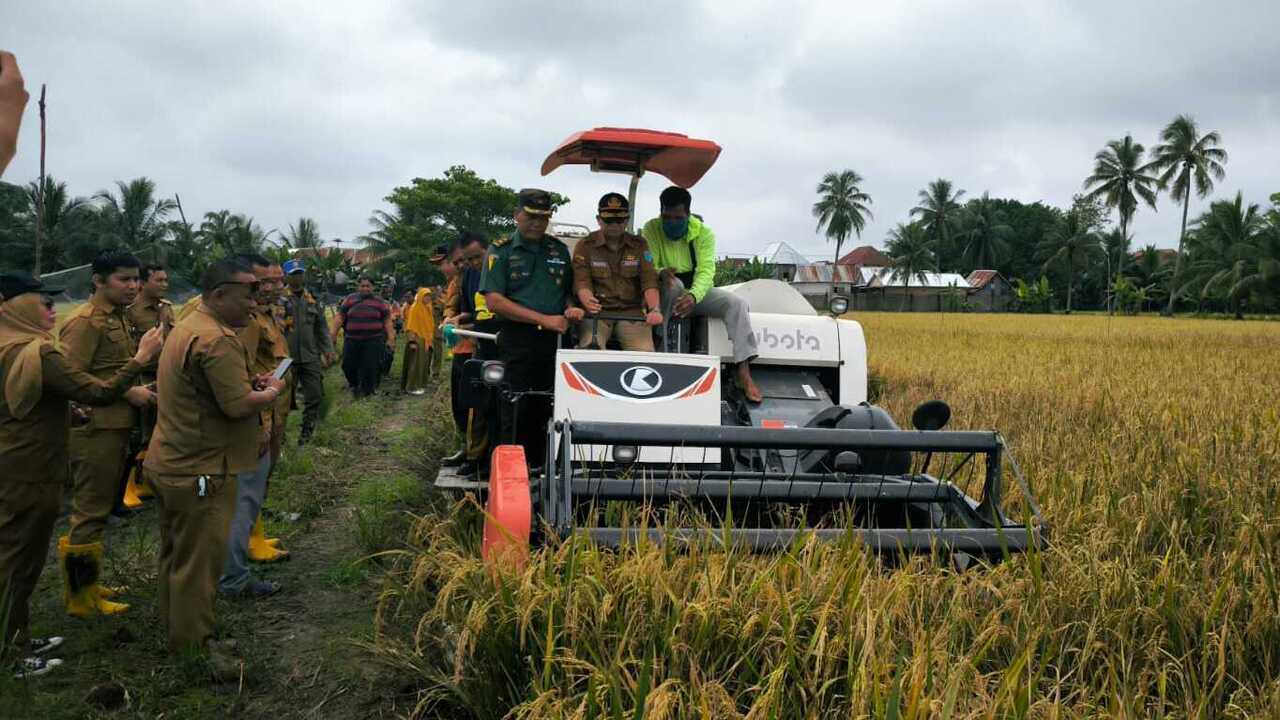 Pabung OI Apresiasi Petani di Pemulutan yang Terapkan Varietas Padi IP 200, Ini Alasannya!