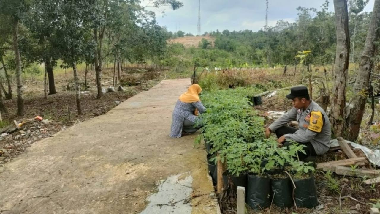 Inisiasi Program Ketahanan Pangan di Kelurahan Pasar 1