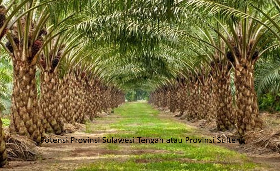 Morowali Provinsi Sulteng: Menyusuri Potensi Mendunia dari Tambang Nikel hingga Pertanian dan Pariwisata