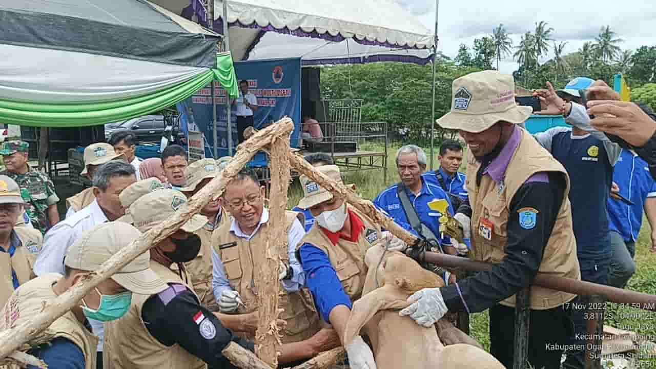 Pemkab OKI Gencarkan Sosialisasi Vaksinasi Cegah Penyebaran PMK