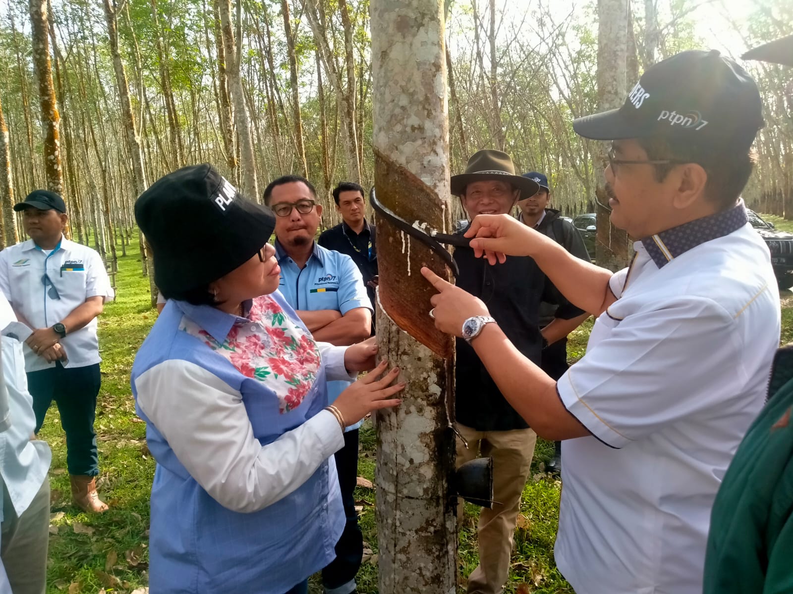 PTPN VII Terapkan Pola  Premi Memacu Produktivitas Pendap