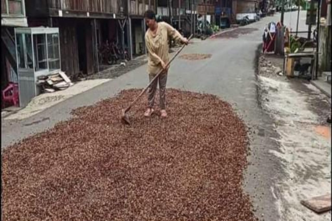 Buah Berkurang Harga Melejit Naik, Petani Kopi Tetap Gembira