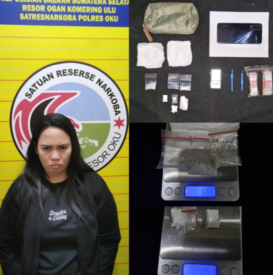 Polisi Sita Lima Paket Narkoba dari Seorang IRT