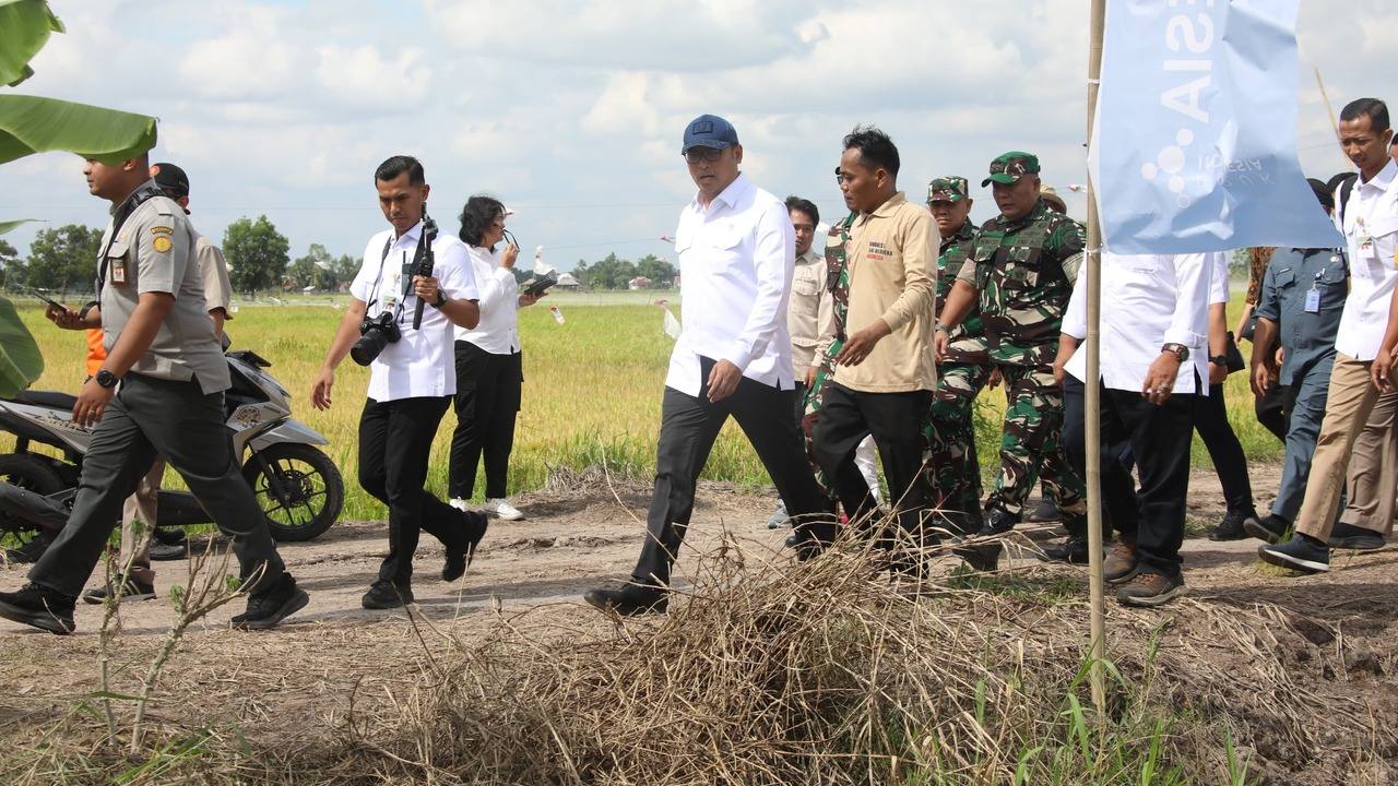 Wamentan Kunjungi Ogan Ilir, Tekankan Harga Gabah Sesuai HPP untuk Sejahterakan Petani