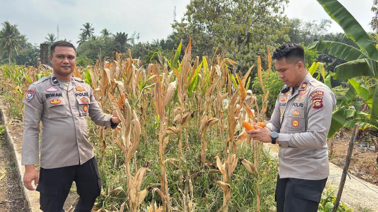 Perkuat Ketahanan Pangan Lokal
