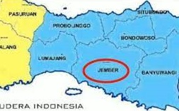 Usul Daerah Otonomi Baru Kota Jember Pemekaran Kabupaten Jember Provinsi Jawa Timur, 4 Kecamatan Gabung