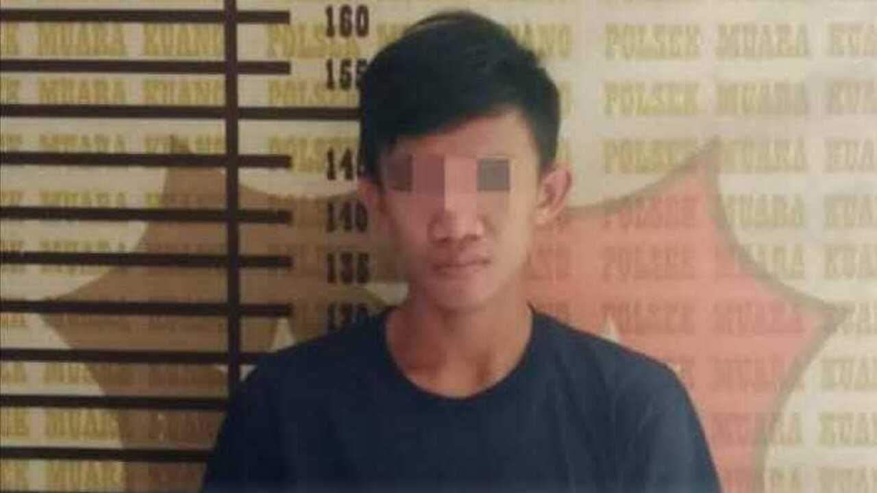 Lakukan Pencurian Buah Sawit Berulang Kali milik Prusahaan, Pemuda di Ogan Ilir Ditangkap Polisi