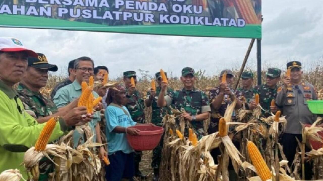 Adakan Panen Raya Jagung di Talang Lebak OKU