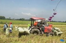 Potret Kabupaten Deli Serdang: Mengungkap Keunikan dan Potensi Ekonomi di Pantai Timur Sumatera Utara