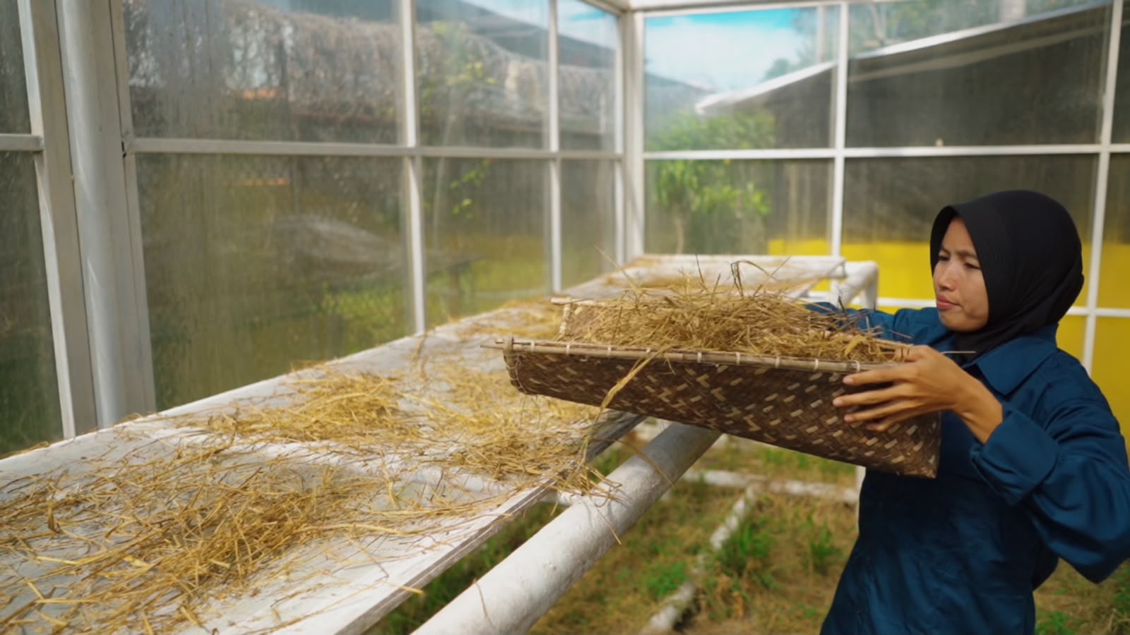 Program PERMATA PEP Adera Field Sulap Jerami Jadi Cuan, Pendapatan Petani PALI Naik Dua Kali Lipat