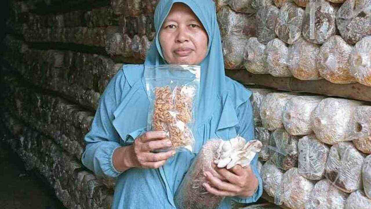 Kisah Inspiratif Ibu Sutarmi:  Petani Jamur Tiram Asal Musi Rawas Berhasil Ubah Limbah Jadi Ladang Cuan