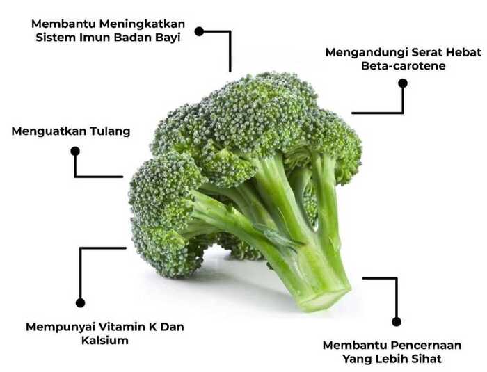 Brokoli Bermanfaat Untuk Kesehatan Jantung dan Pencernaan