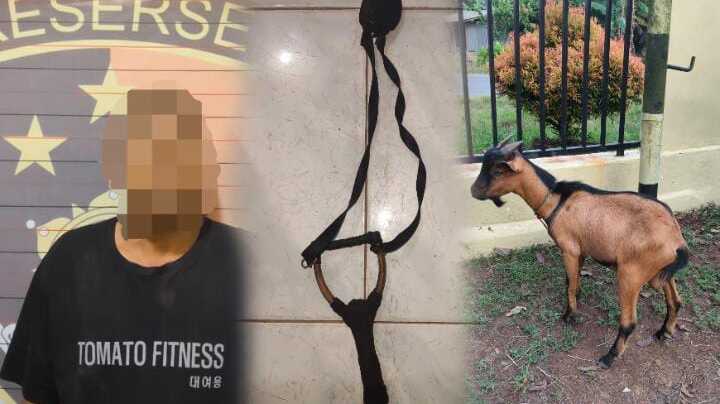 Kepergok Warga Curi Kambing di Siang Hari