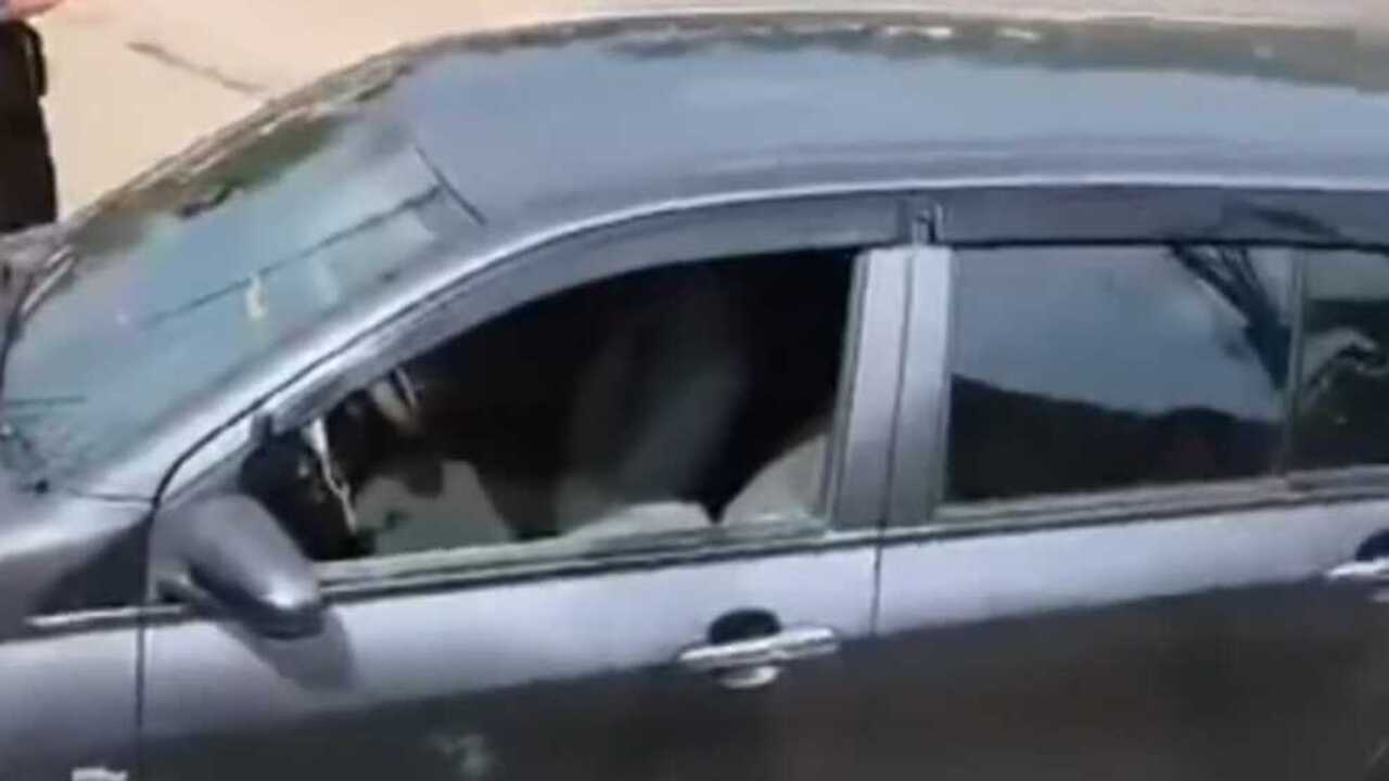 Kawanan Bandit Pecah Kaca Kembali Resahkan Prabumulih, Beraksi Siang Hari di Depan Showroom Daihatsu