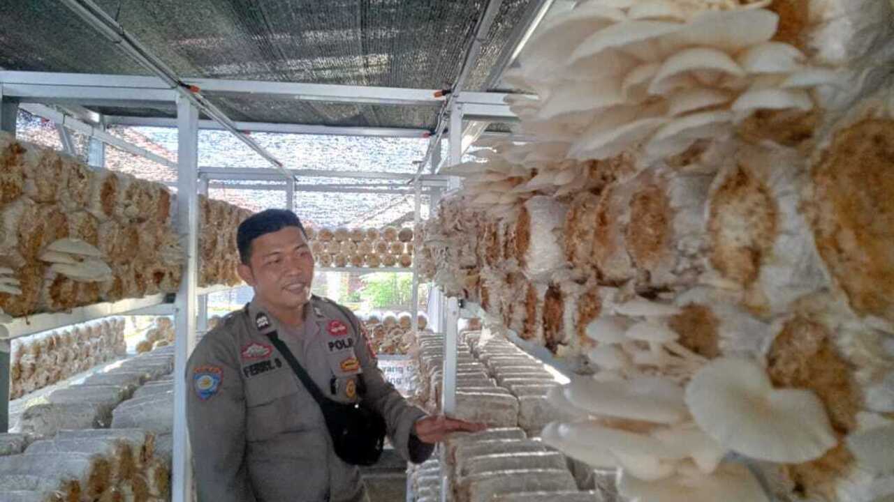 Ciptakan Cemilan Ringan Jajanan Mang Bhabin