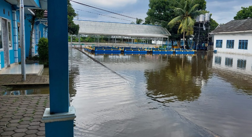 Air Sungai Musi Pasang, Kantor Dinas Perikanan Palembang 2 Minggu Tergenang 
