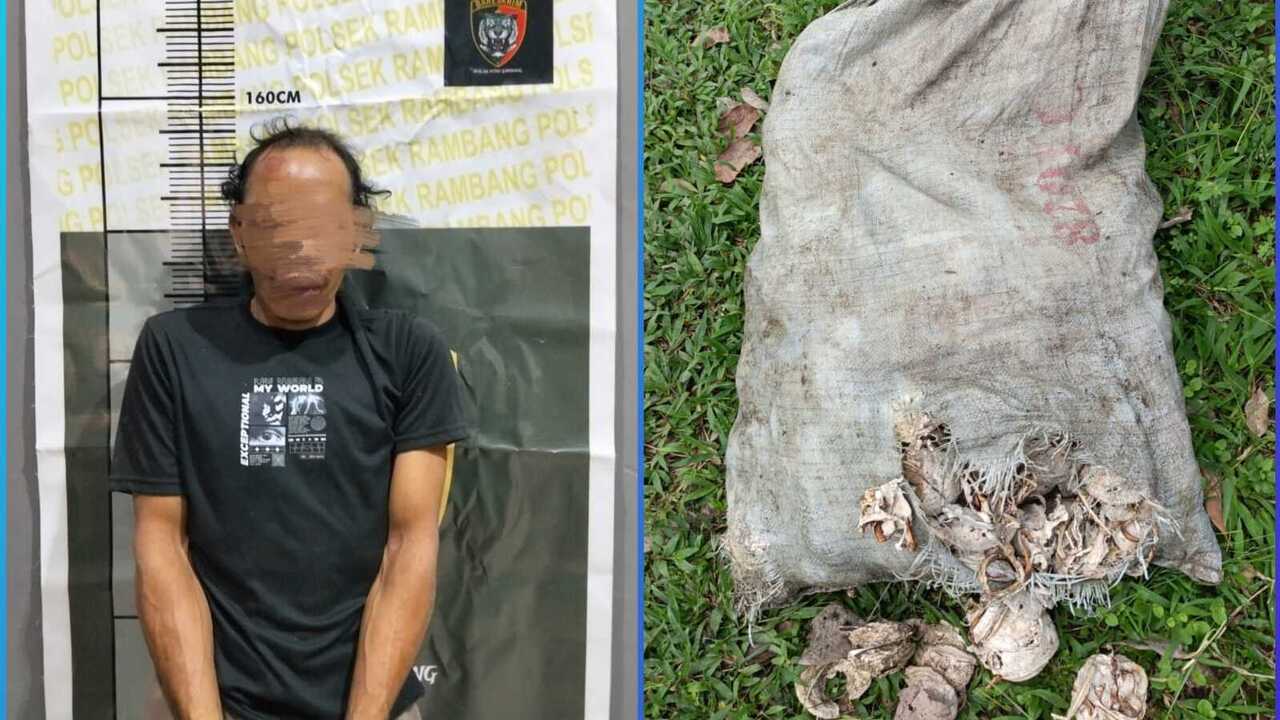 Pencuri Getah Karet Nyaris Tewas Diamuk Massa