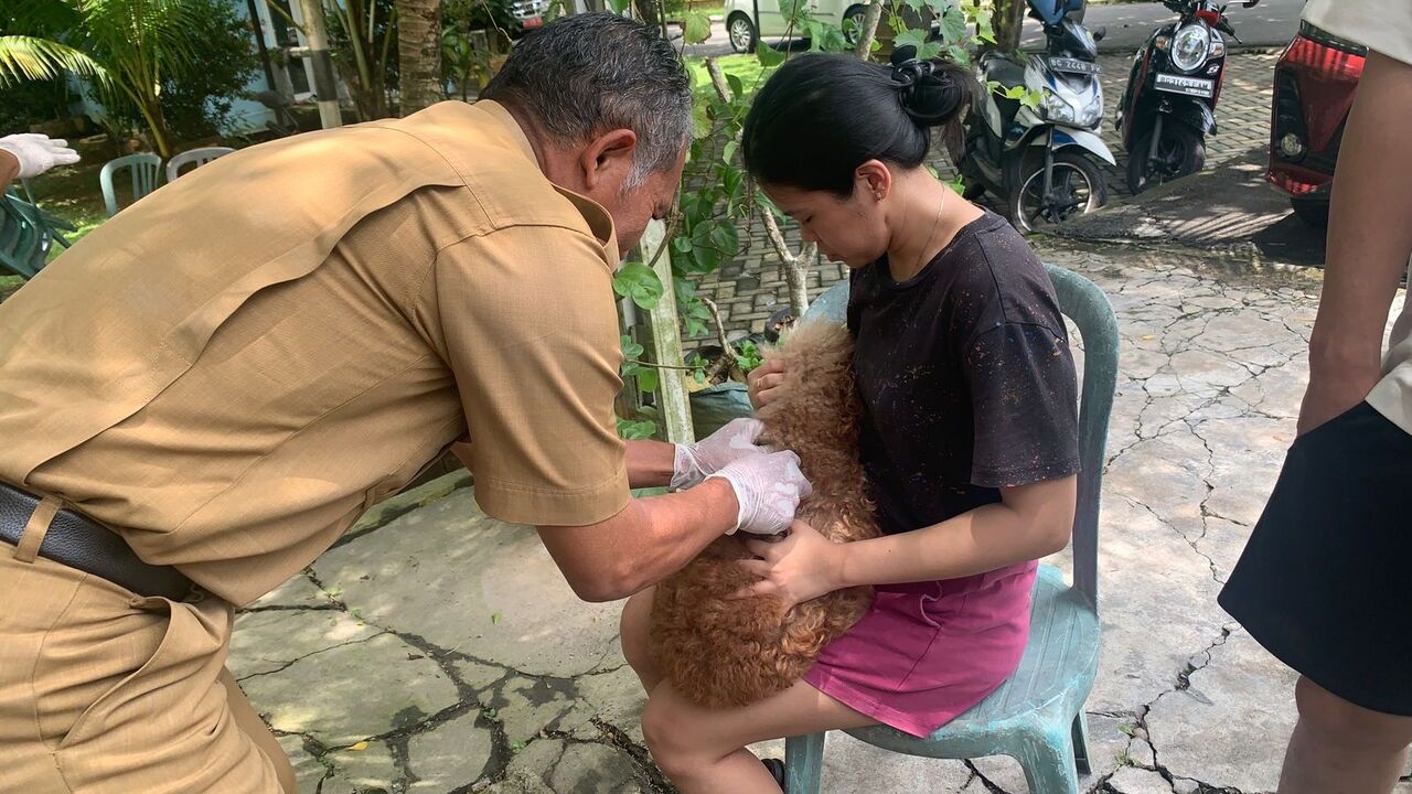 Dinas Pertanian OKU Vaksin 800 Ekor Hewan Rabies