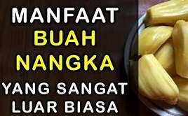 11 Manfaat Buah Nangka Bagi Kesehatan