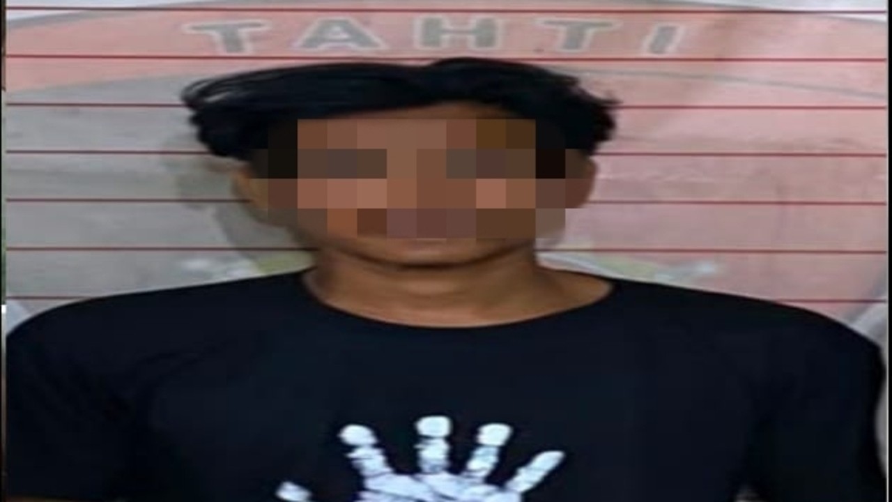 Kebakaran Lahan Sawit di Sridamai, Polisi Sita Bibit dan Kayu Bekas Terbakar