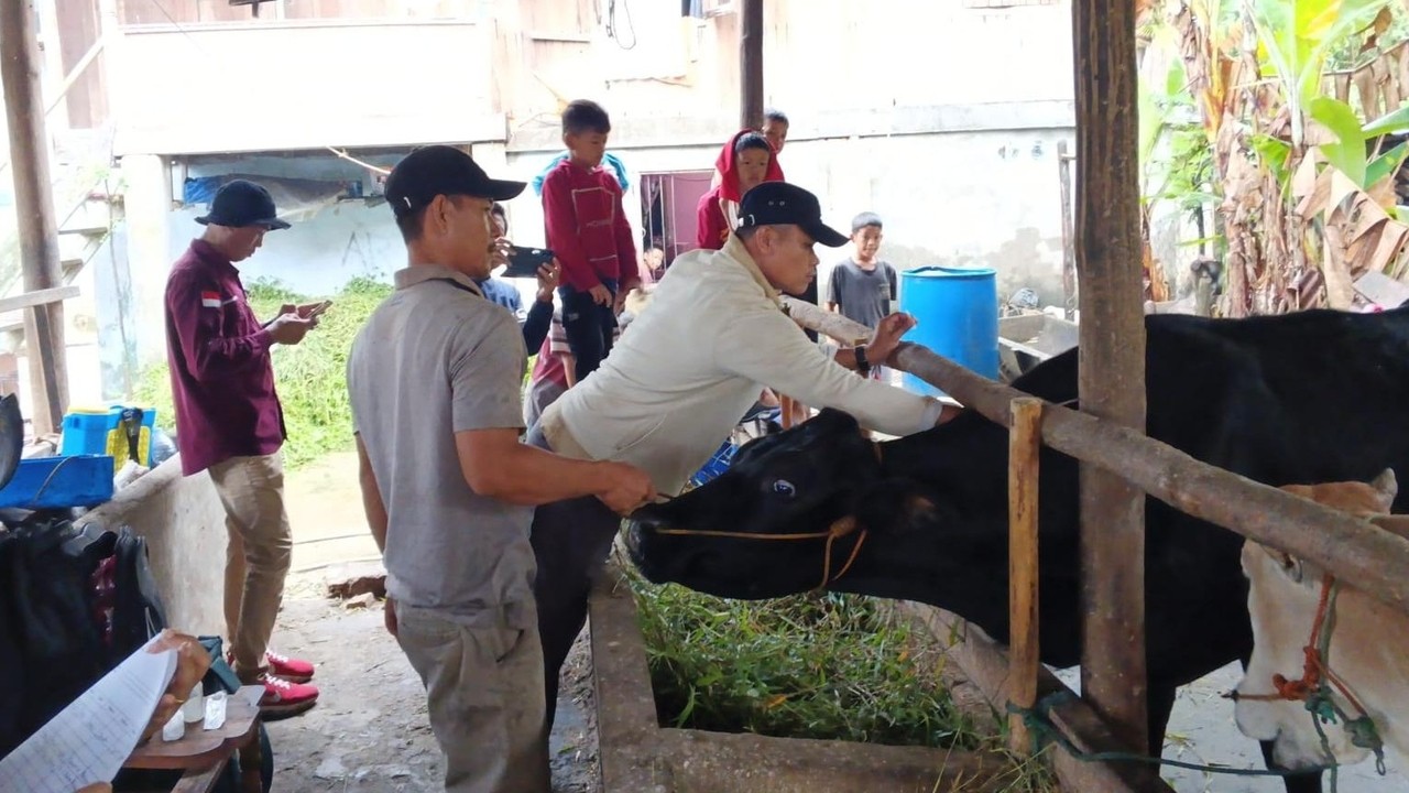Pastikan Hewan Kurban Sehat dan Layak