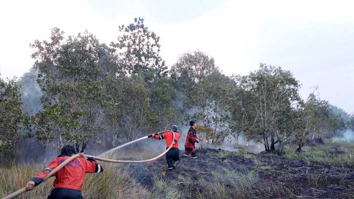 Diduga Sengaja Dibakar, Petugas Temukan Drigen Pertalite dan Serbuk Kayu di Lokasi Karhutla