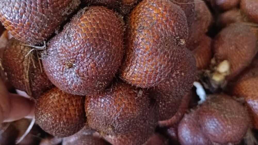Buah-buahan Segar Jadi Primadona di Hari Raya Idul Fitri