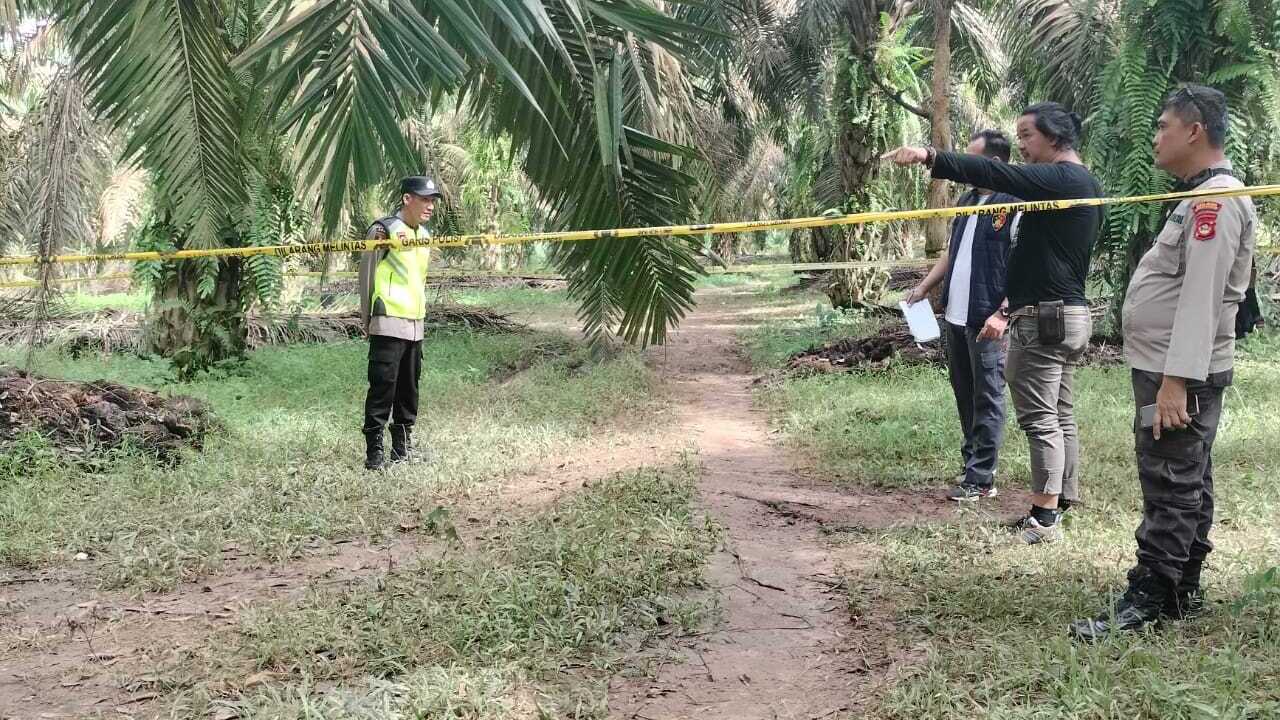 Saat Jaga Kebun Pemuda Warga Lais MD, Berikut Kronologisnya