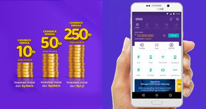  Mengoptimalkan Investasi dengan Promo OVO: Pelajari Cara Mendapatkan Keuntungannya