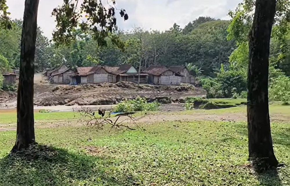 Keunikan Kampung Kerbau, Harta Berharga di Tengah Hutan Jati, Mirip di Pedalaman Afrika 