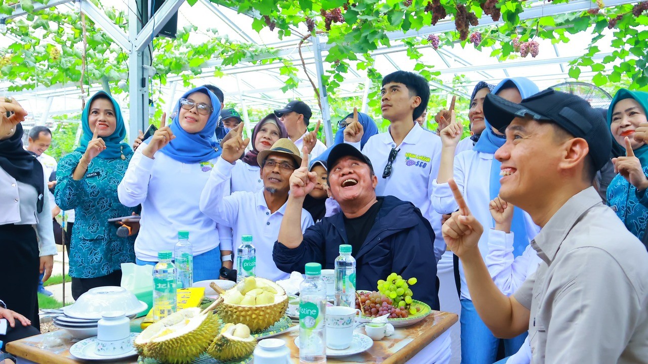 Kunjungi OKI, Gubernur Herman Deru Apresiasi Kebun Anggur Viral di Desa Selapan Ilir