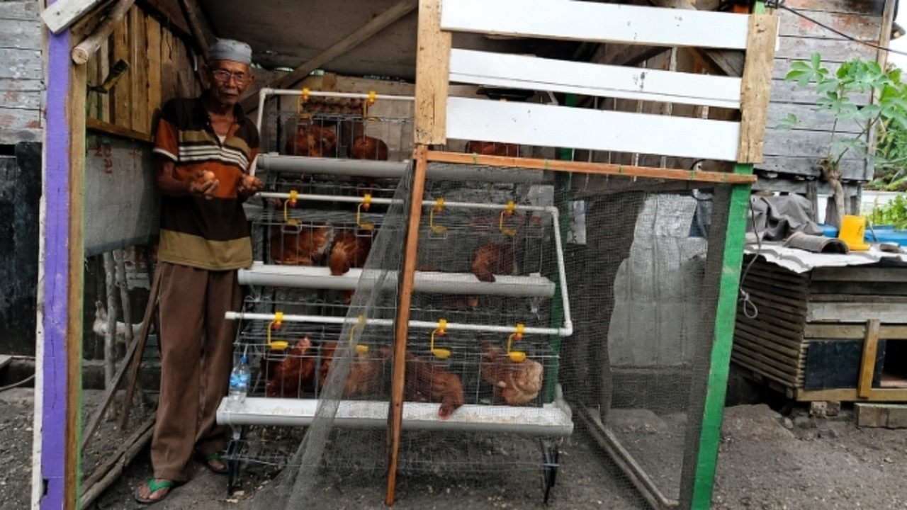 Amat dan Harapan yang Tumbuh dari Kandang Ayam Samping Rumah