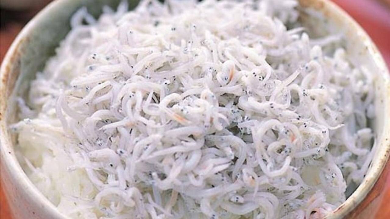 Kuliner Aunu Senebre : Kekayaan Rasa dari Tanah Sulawesi Selatan