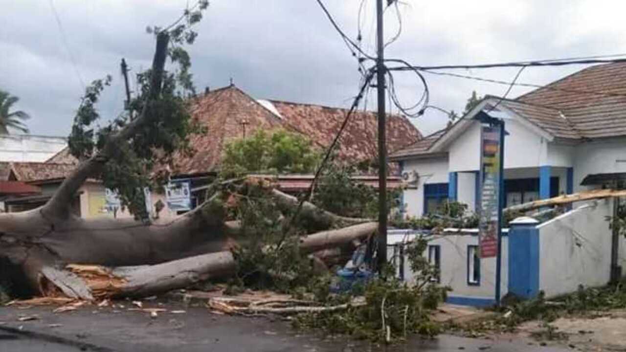 Pohon Tumbang Tutup Akses Jalan, Pagar Kantor Kelurahan Sidakerse Ikut Tertimpa