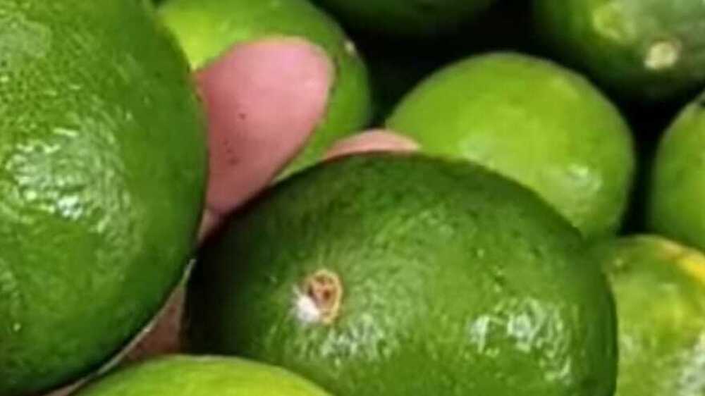 Jeruk Nipis, Citrus yang Wajib Hadir di Dapur dan Tubuh