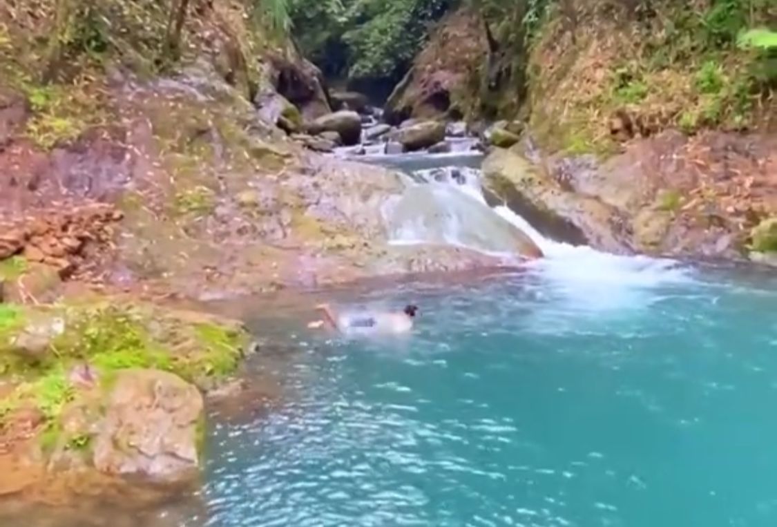 Liburan alam di Bogor: Pesona Telaga Biru Cawene di Taman Nasional Gunung Halimun Salak