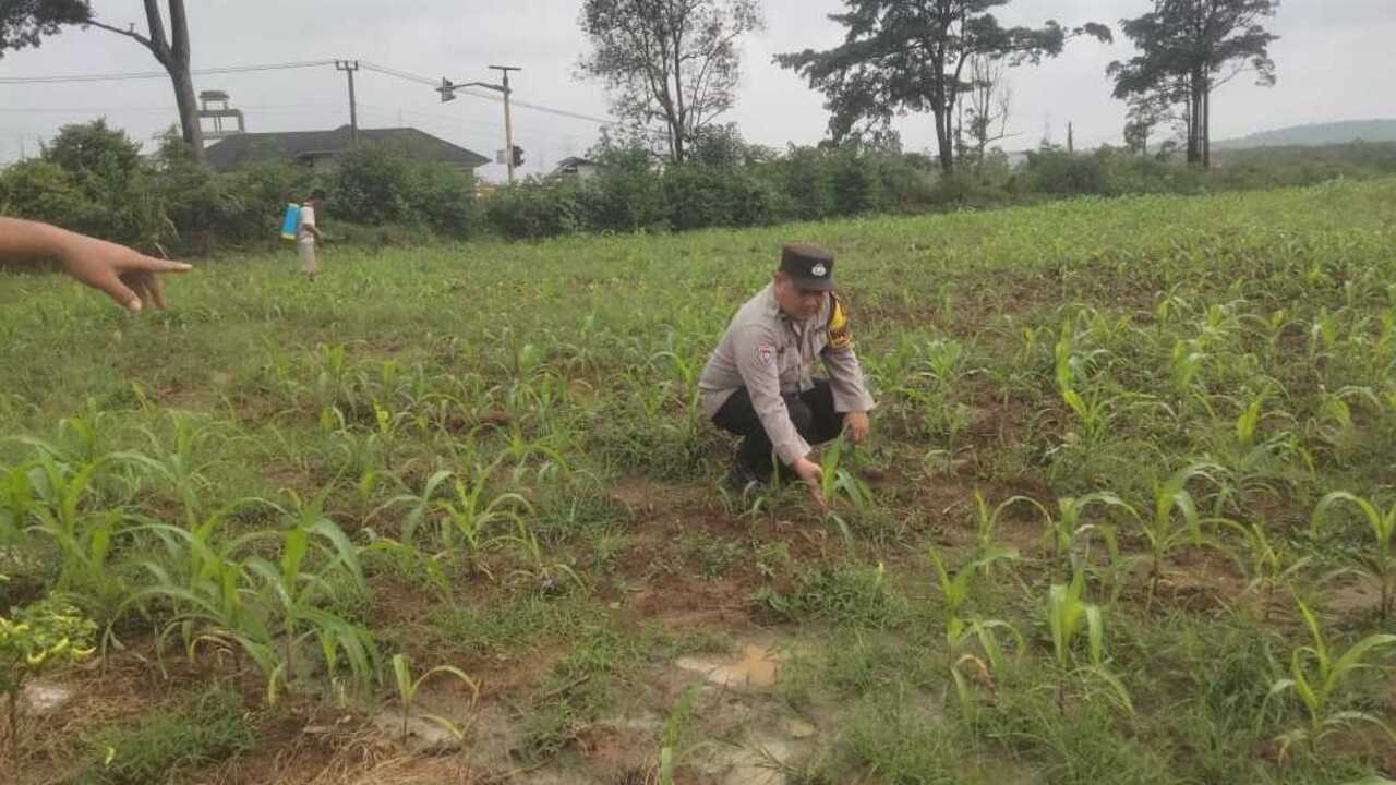 Dorong Warga Tingkatkan Ekonomi Lewat Ketahanan Pangan