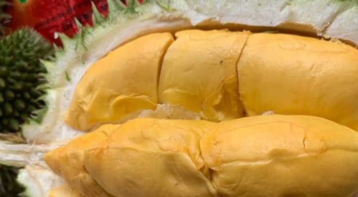 Dijamin Lezat! Ini Tips Atau Cara Memilih Buah Durian yang Matang dan Rasanya Manis