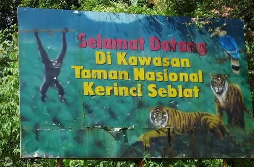 Hampir 60 Persen Wilayah Kota Sungai Penuh Calon Ibukota Provinsi Puncak Andalas Masuk Hutan Lindung