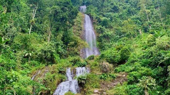 Curug Pletuk, Keindahan Air Terjun yang Terletak di Dalam Hutan yang Memikat