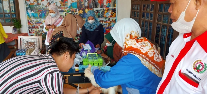 Ratusan Kucing dan Anjing di Sukajaya di Vaksin Rabies