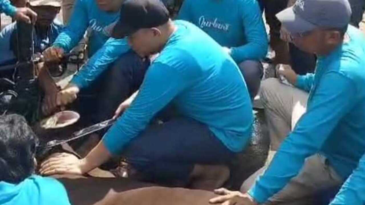 Walikota Lubuklinggau Hadiri dan Lakukan Pemotongan Perdana Hewan Kurban di Masjid Syarif Hidayatullah