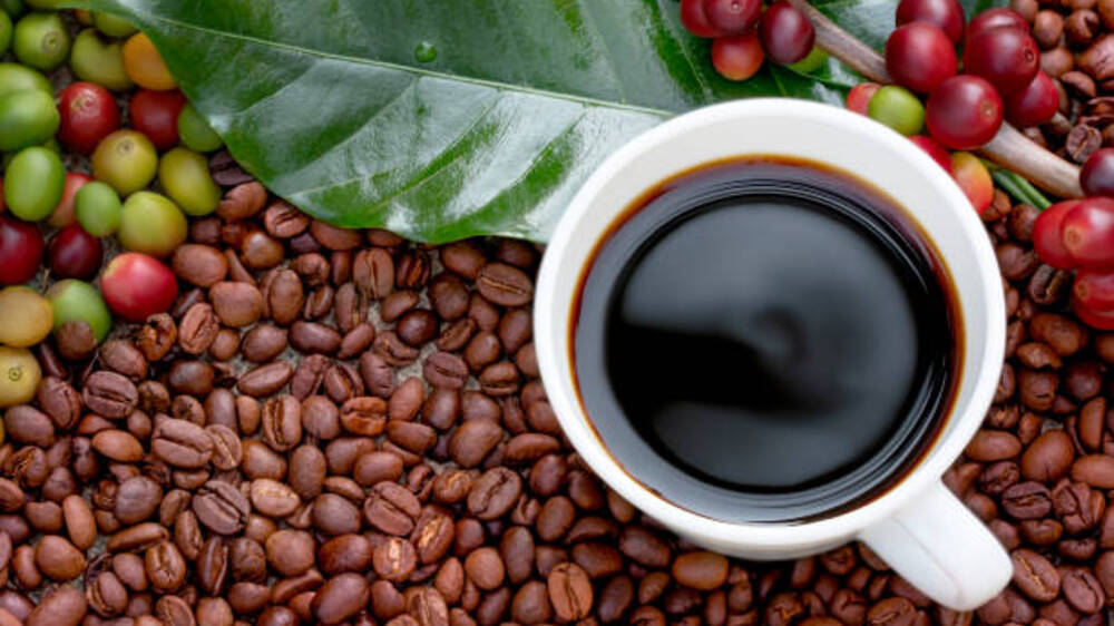 Kopi Robusta dan Arabika: Meresapi Perbedaan Aroma dan Kenikmatan dalam Setiap Tassnya