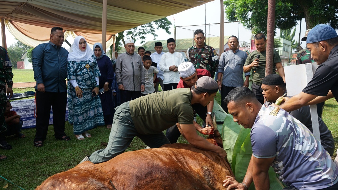 Peduli Masyarakat di Hari Raya Idul Adha 1446 H : Kodim 0402/OKI Sembelih 13 Hewan Kurban