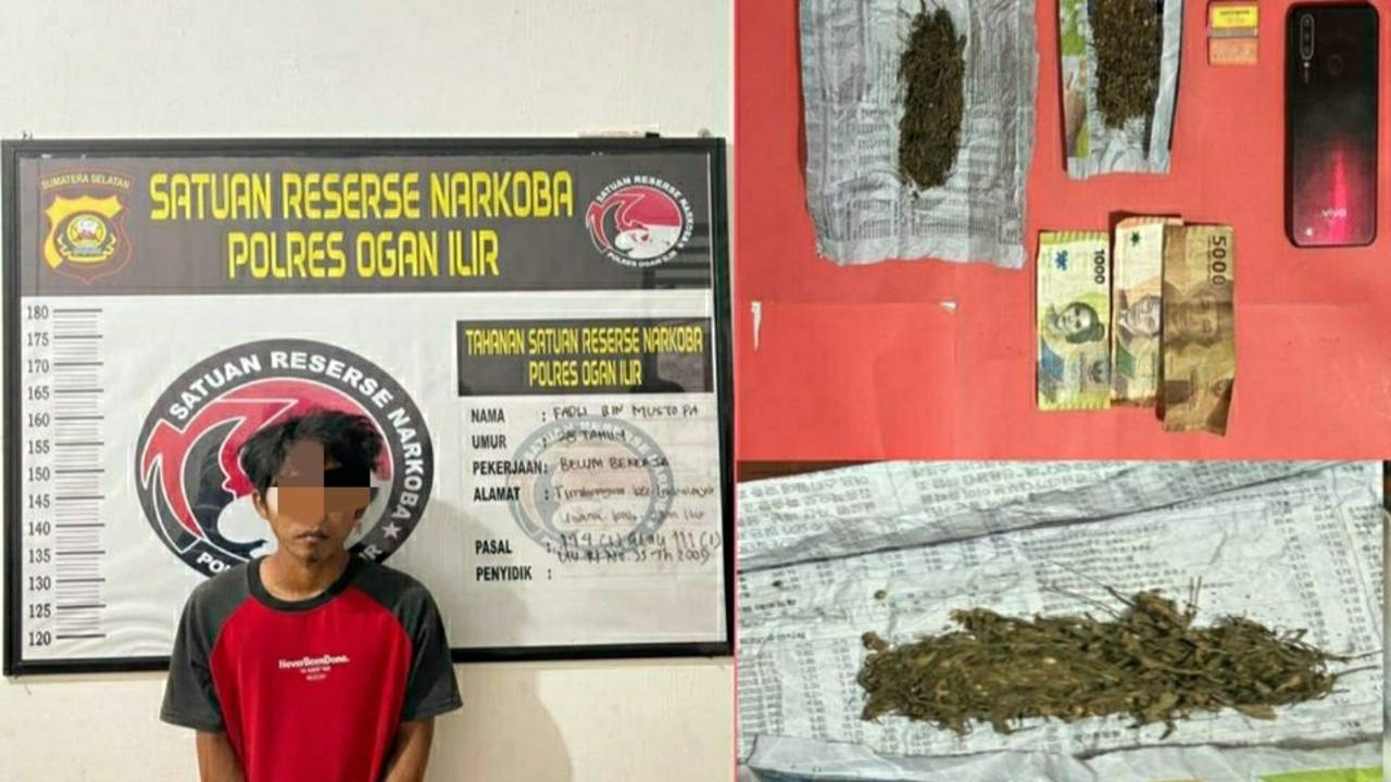 Gagal Edarkan Ganja, Warga Timbangan Indralaya Kini ditangkap Polisi